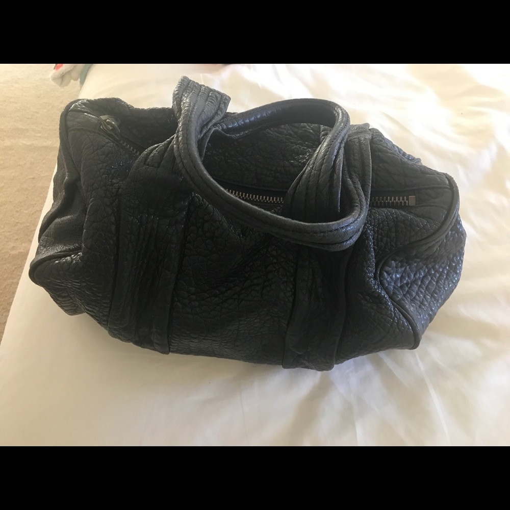Alexzander wang bag